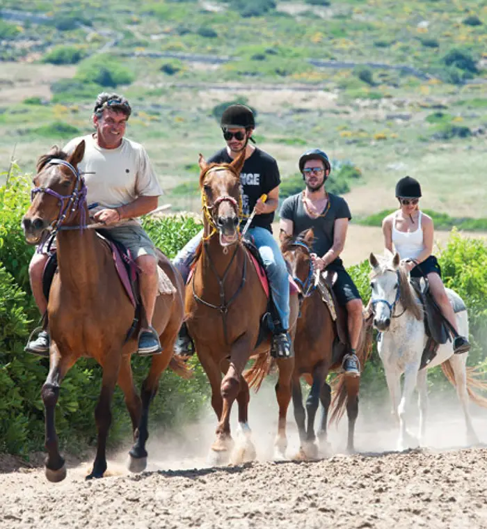 Horse Riding in Tolo & Surrounding Villages